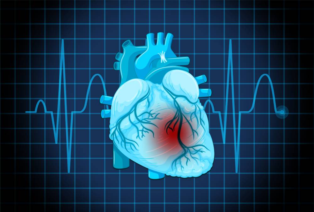 Heart Cardic